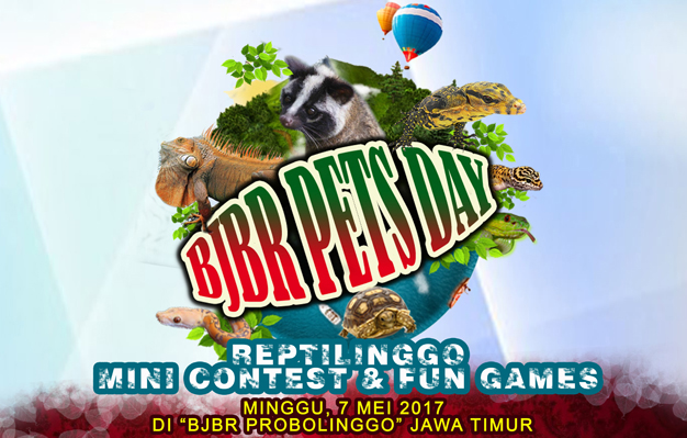 Lomba Mini Contest & Fun Games Reptil - indonesia